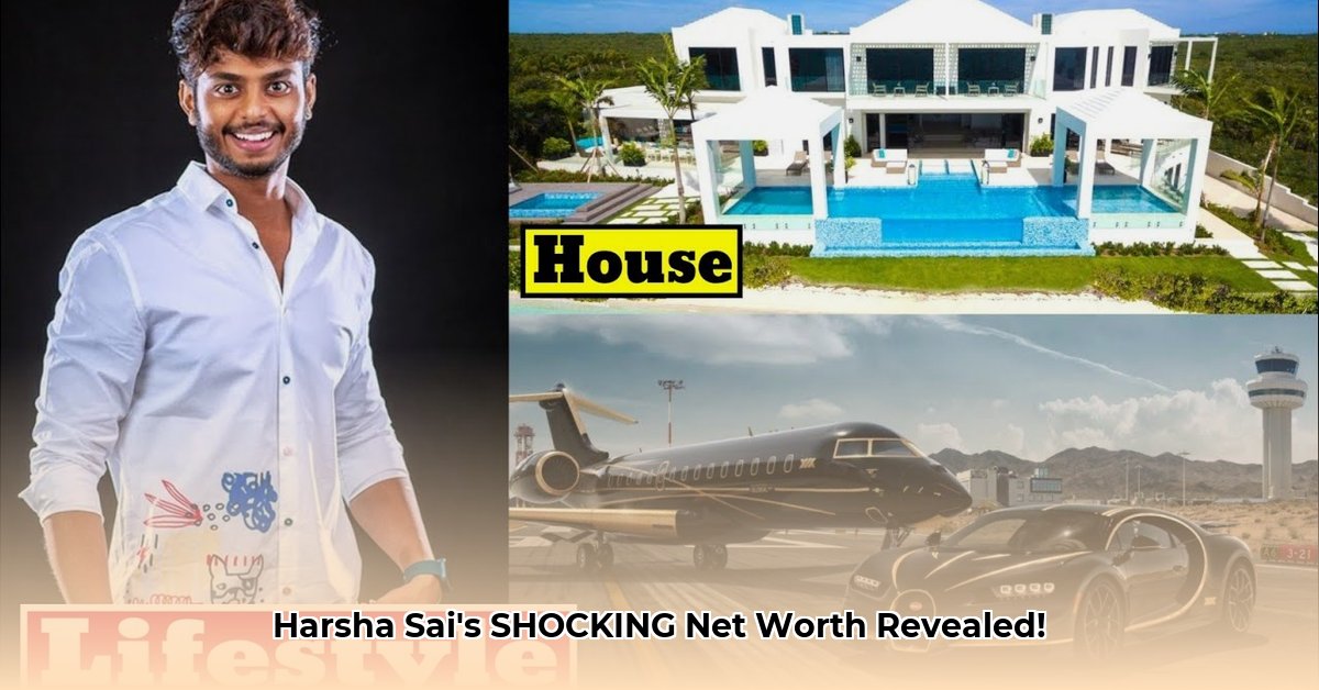 harsha-sai-net-worth